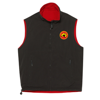 WORKWEAR, SAFETY & CORPORATE CLOTHING SPECIALISTS Unisex reversible vest