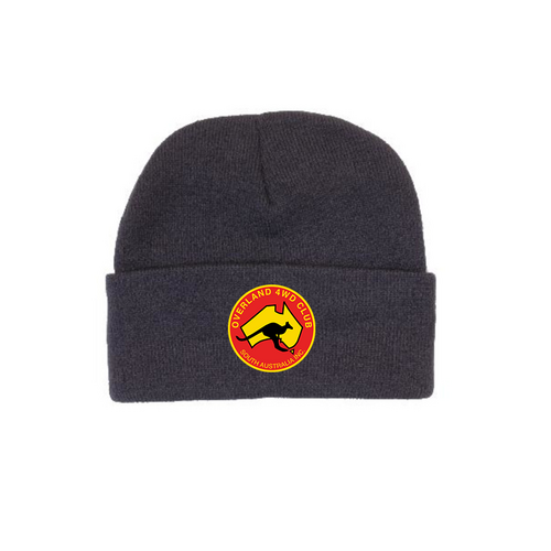 WORKWEAR, SAFETY & CORPORATE CLOTHING SPECIALISTS Arcylic Beanie